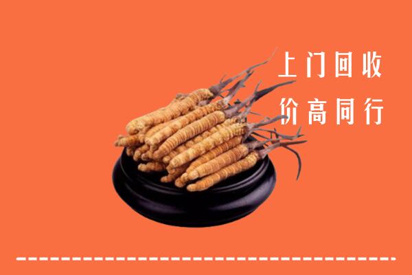 高价求购：南宁马山回收散虫草