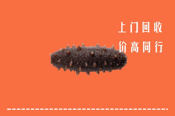 高价求购：南宁马山回收海参